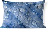 Buitenkussens - Tuin - Druppels op een blauw blad - 60x40 cm