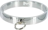Chrome Slave Collar - Medium/Large - BDSM - Bondage