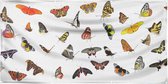 Tuinposter - vlinderposter met verschillende vlinders - zon- en waterbestendig - 100x50 cm