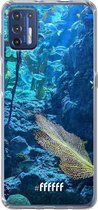 6F hoesje - geschikt voor Motorola Moto G9 Plus -  Transparant TPU Case - Coral Reef #ffffff