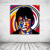 Pop Art Harry Potter Acrylglas - 100 x 100 cm op Acrylaat glas + Inox Spacers / RVS afstandhouders - Popart Wanddecoratie