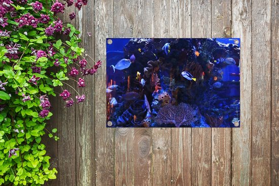 Affiche de jardin d'aquarium d'eau de mer tropicale 90x60 cm - Toile de jardin / Toile d'extérieur / Peintures pour l'extérieur (décoration de jardin)