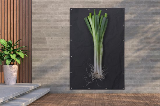 Le fameux oignon de printemps sur fond sombre Affiche de jardin 120x180 cm - Toile de jardin / Toile d'extérieur / Peintures d'extérieur (décoration de jardin) XXL / Groot format!