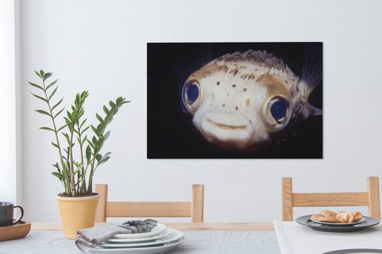 Gros plan poisson-globe 60x40 cm - Tirage photo sur toile (Décoration murale salon / chambre) / Peintures sur toile animaux sauvages