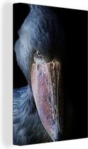 Mysterious Shoebill canvas 2cm 60x90 cm - Tirage photo sur toile (Décoration murale salon / chambre)