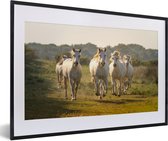 Fotolijst incl. Poster - Galopperende witte paarden - 60x40 cm - Posterlijst