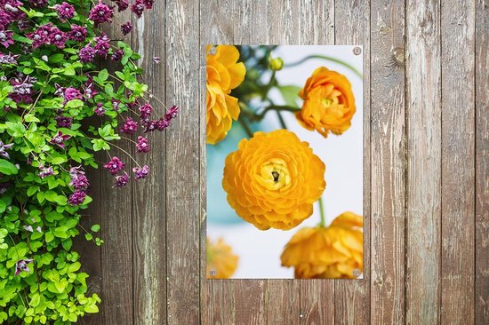 Posters de jardin Fleurs - Extérieur - Oranje - 60x90 cm