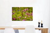 Canvas Schilderij Een rietzanger in de bloeiende struiken - 60x40 cm - Wanddecoratie