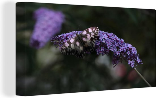 Canvas Schilderij Donkere foto van een vlinderstruik - 40x20 cm - Wanddecoratie