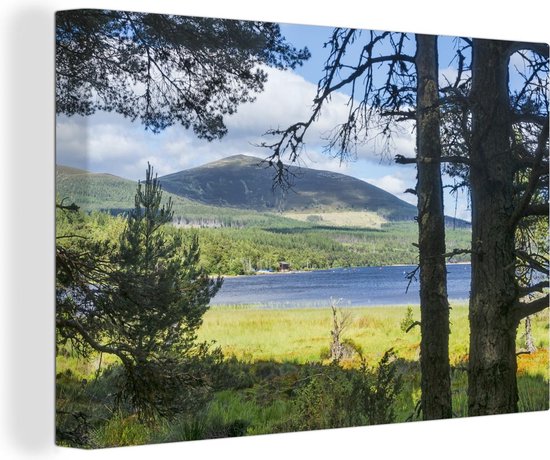 Canvas Schilderij Het meer Loch Morlich in het Nationaal park Cairngorms in Schotland - 90x60 cm - Wanddecoratie