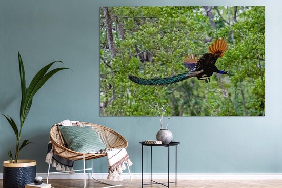 Paon coloré vole à travers les bois Toile 180x120 cm - Tirage photo sur toile (Décoration murale salon / chambre) XXL / Groot format!