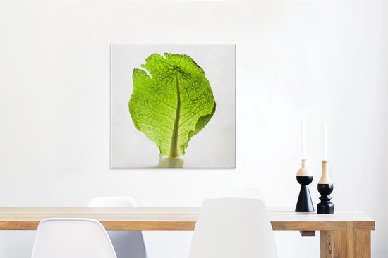 Laitue transparente sur fond blanc Toile 50x50 cm - Tirage photo sur toile (Décoration murale salon / chambre)