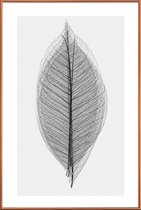 JUNIQE - Poster met kunststof lijst Skeleton of a Leaf -13x18 /Wit &