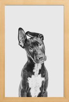 JUNIQE - Poster in houten lijst Hond – Zwart | Wit -40x60 /Grijs &