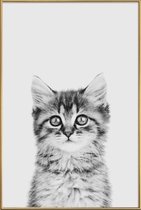 JUNIQE - Poster met kunststof lijst Kitten Classic -30x45 /Wit & Zwart