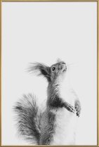 JUNIQE - Poster met kunststof lijst Red Squirrel III -20x30 /Grijs