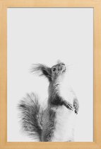 JUNIQE - Poster in houten lijst Red Squirrel III -60x90 /Grijs