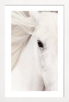 JUNIQE - Poster in houten lijst White Horse -20x30 /Grijs & Wit