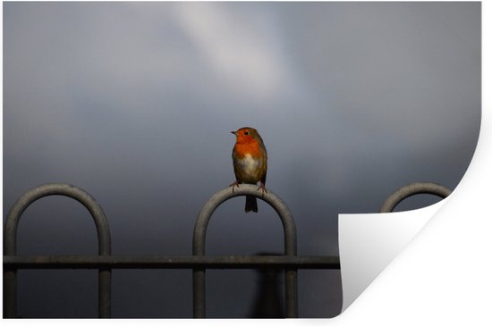 Sticker Muursticker Robin - rouge-gorge sur clôture contre ciel gris foncé - 90x60 cm - film adhésif autocollant - sticker mural repositionnable