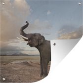Tuinposters Trompetterende olifant in de woestijn - 50x50 cm - Tuindoek - Buitenposter