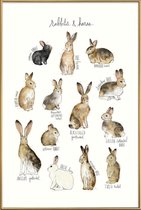 JUNIQE - Poster met kunststof lijst Konijnen en hazen illustratie