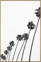 JUNIQE - Poster met kunststof lijst Cali Palms -40x60 /Grijs & Wit