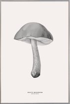 JUNIQE - Poster met kunststof lijst Bolete Mushroom -20x30 /Grijs &