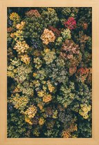 JUNIQE - Poster in houten lijst Herfstbomen - luchtfotografie -40x60