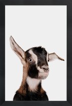 JUNIQE - Poster in houten lijst Goat -40x60 /Bruin & Wit