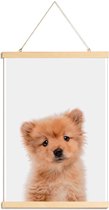 JUNIQE - Posterhanger Puppy II -30x45 /Bruin