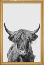 JUNIQE - Poster met houten lijst Highland Cow Classic -40x60 /Wit &