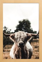 JUNIQE - Poster in houten lijst Boris Highland Cow -30x45 /Bruin &