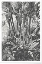 JUNIQE - Poster Palms in Water -40x60 /Grijs & Zwart