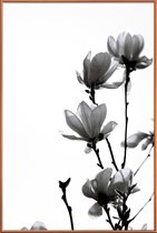 JUNIQE - Poster met kunststof lijst Aquarel zwarte magnolia -30x45