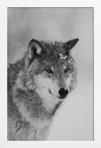 JUNIQE - Poster in houten lijst The Wolf -30x45 /Grijs