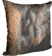 Aziatische olifant op zwarte achtergrond - Foto op Sierkussen - 40 x 40 cm