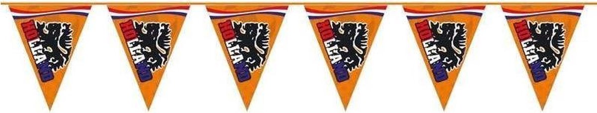 Vlaggenlijn Oranje Leeuw 15M