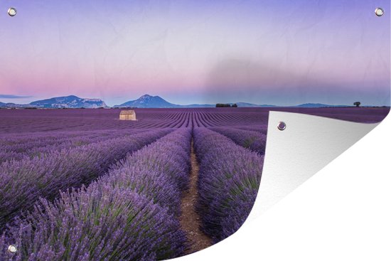 Tuindecoratie Lavendelveld tijdens zonsondergang in Zuid-Frankrijk - 60x40 cm - Tuinposter - Tuindoek - Buitenposter
