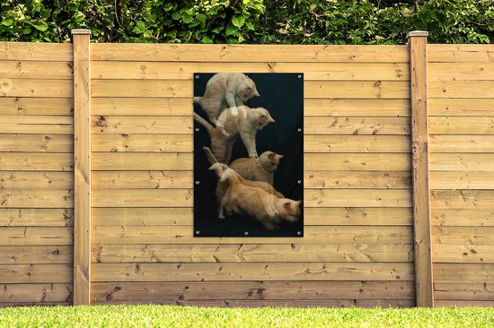 Poster jardin chat bondissant toile en vrac 80x120 cm - Toile de jardin / Toile d'extérieur / Peintures pour l'extérieur (décoration de jardin)