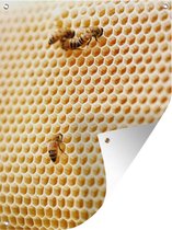 Tuinschilderij Bijen op een honingraat - 60x80 cm - Tuinposter - Tuindoek - Buitenposter