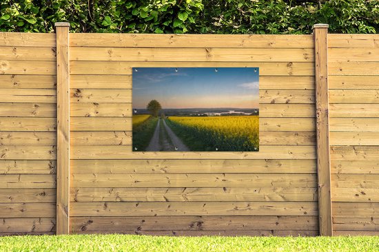 Champ de colza dans le Jutland Danemark affiche de jardin en vrac 120x80 cm - Toile de jardin / Toile d'extérieur / Peintures pour l'extérieur (décoration de jardin)