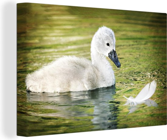 Canvas Schilderij Baby - Zwaan - Veren - 120x80 cm - Wanddecoratie