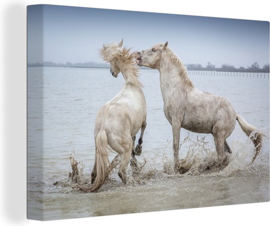 Deux chevaux jouant dans l'eau en Camargue toile 2cm 90x60 cm - Tirage photo sur toile (Décoration murale salon / chambre)