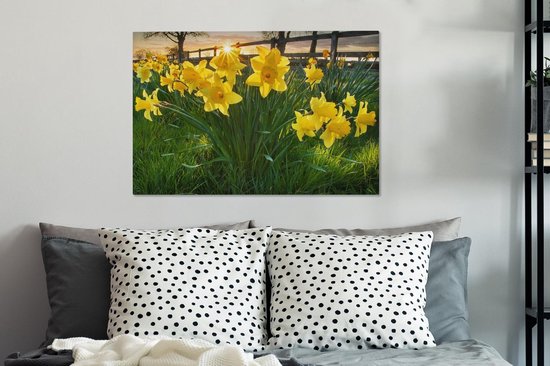 Coucher de soleil derrière les jonquilles dans le champ 90x60 cm - Tirage photo sur toile (Décoration murale salon / chambre) / Peintures Fleurs sur toile