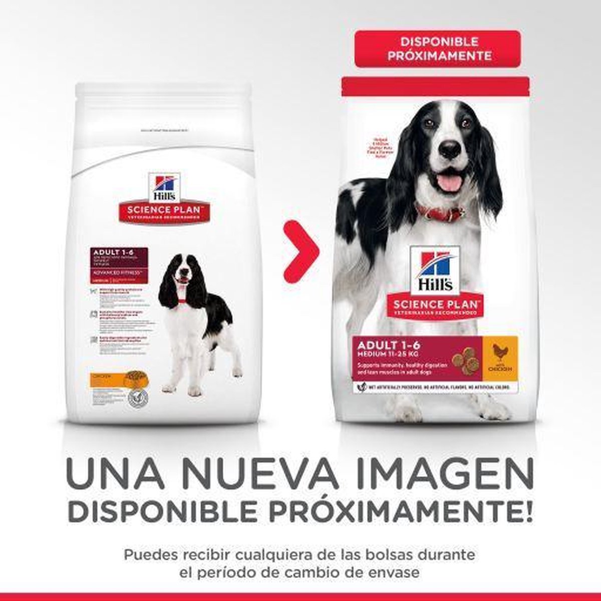 Hill's Canine Adult Advanced Fitness Kip - 2.5 KG thumbnail 4