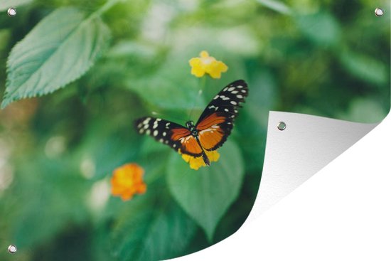 Tuindecoratie Vlinder op bloem - 60x40 cm - Tuinposter - Tuindoek - Buitenposter