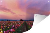 Muurdecoratie Tulpenveld zonsondergang - 180x120 cm - Tuinposter - Tuindoek - Buitenposter