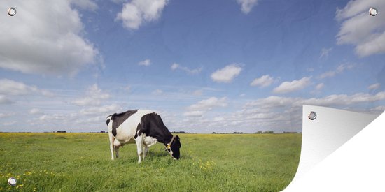 Tuinposter Grazende koeien in een weiland - 60x30 cm - Tuindoek - Buitenposter