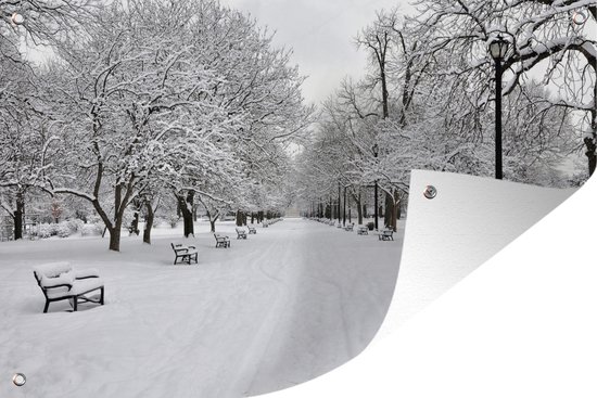 Tuindecoratie Park in New York tijdens de winter - 60x40 cm - Tuinposter - Tuindoek - Buitenposter