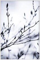 JUNIQE - Poster in kunststof lijst Winter Branches 2 -40x60 /Wit &
